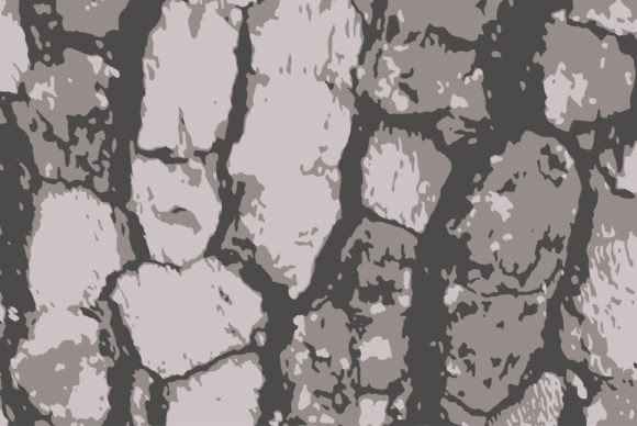 Download Tree Bark Texture Vector Illustration - Vector Collection