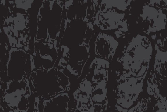 Download Tree Bark Texture Vector Illustration - Vector Collection