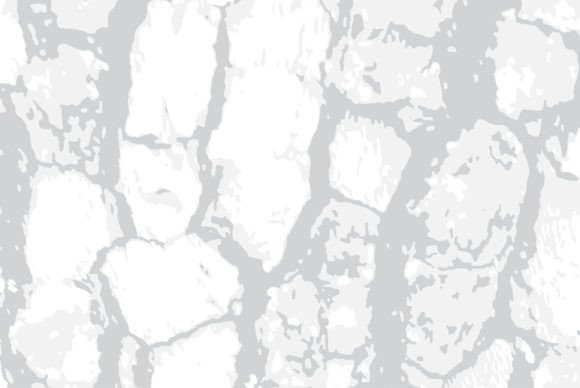 Download Tree Bark Texture Vector Illustration - Vector Collection