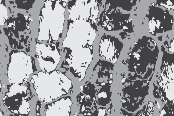 Download Tree Bark Texture Vector Illustration - Vector Collection